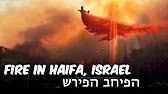 Iarael seeks Palestine’s help in extinguishing the Blaze