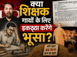 शिक्षकों को भूसा इकठ्ठा करने पर क्यों लगाया? शिक्षकों को भूसा इकठ्ठा