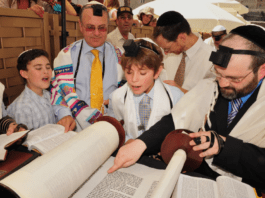 Jewish Diversity
