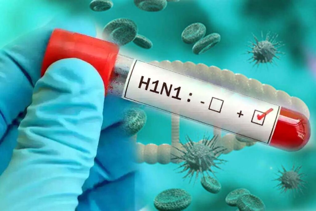 hisar-is-becoming-a-hotspot-fo