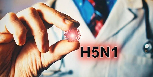 uruguay-avian-influenza-h5-virus-health-emergency-