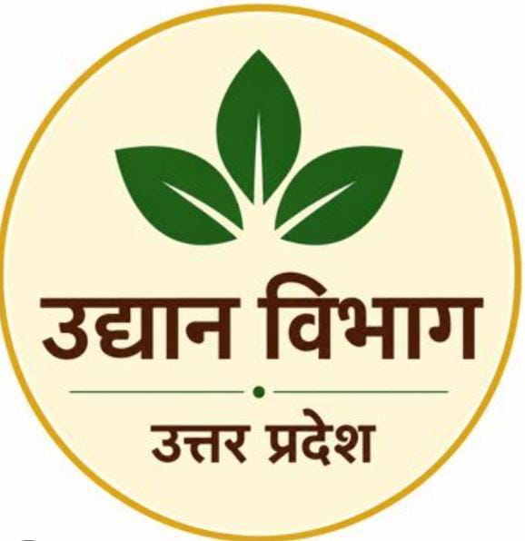 up-prayagraj-potato-grains