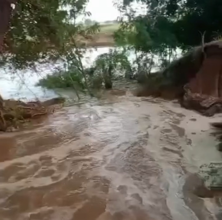 distributary-canal-breached-crops-waterlogged